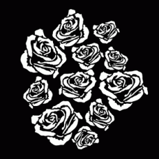 Breakup Roses